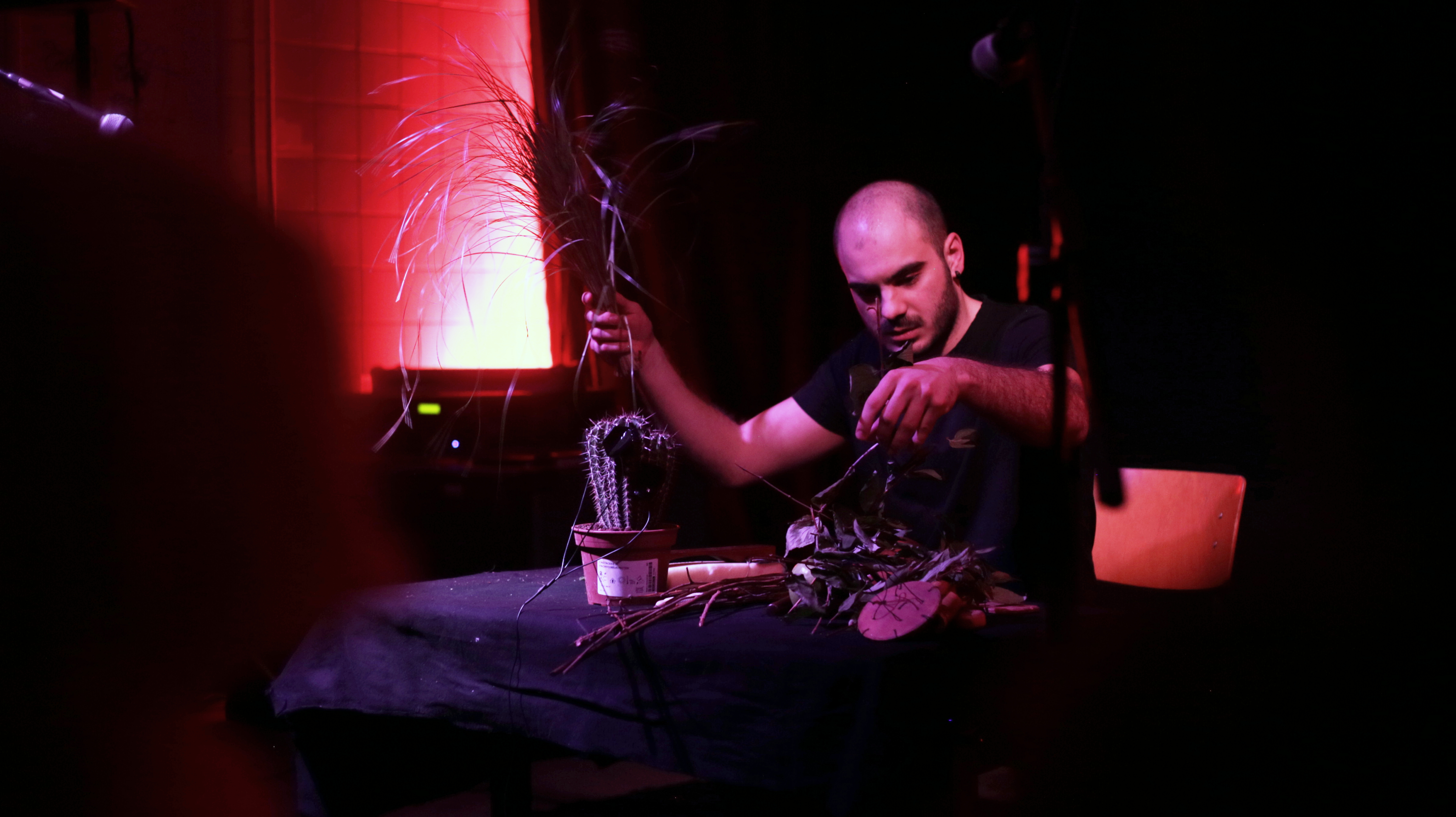 elsewhere3